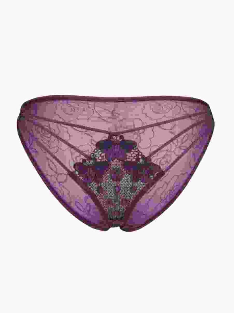 Embroidery Mesh Lingerie