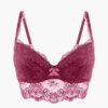 Women's Padded Bra - Image 4